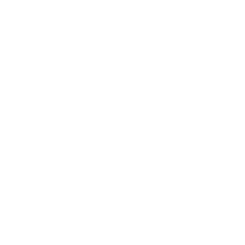 Company-Wide AI 101